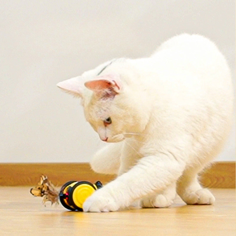 Cat car toy
