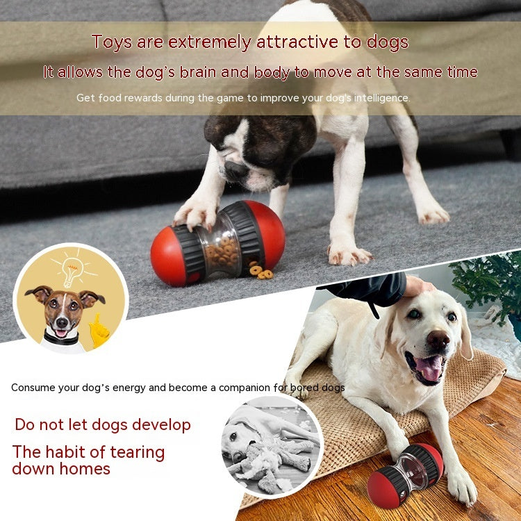 Slow feeding dog toy