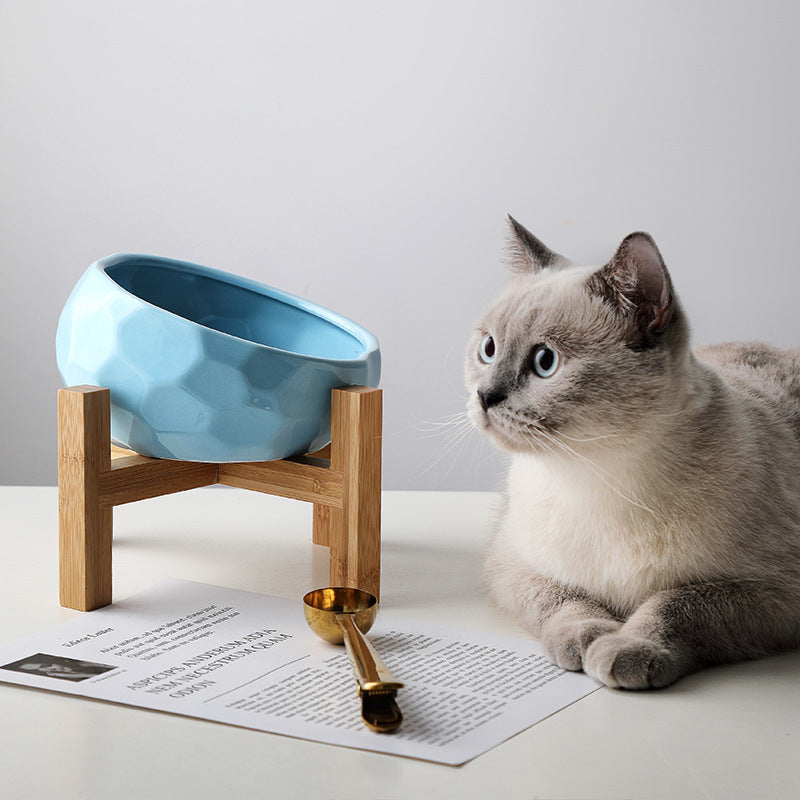 Oblique food bowl