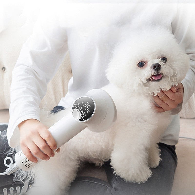 Smart hair dryer