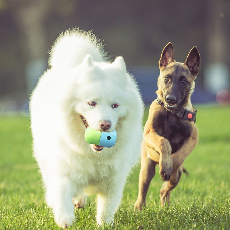 2 in 1 dog toy