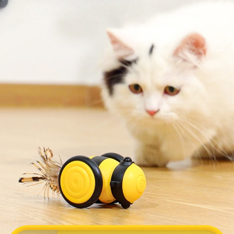 Cat car toy