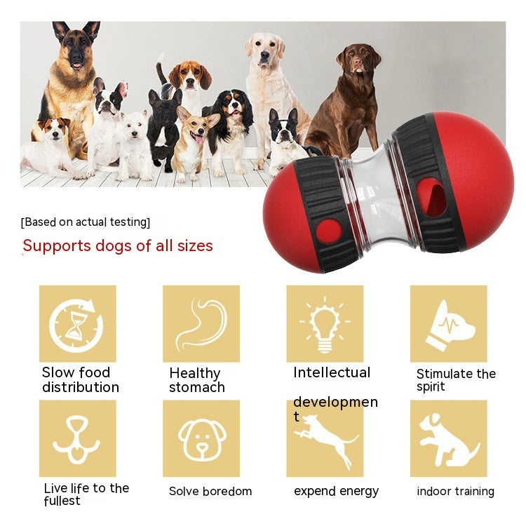 Slow feeding dog toy
