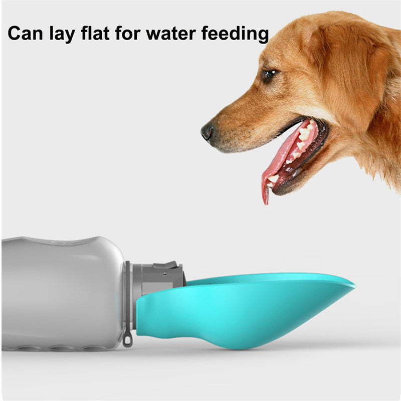 Potable dog water bowl
