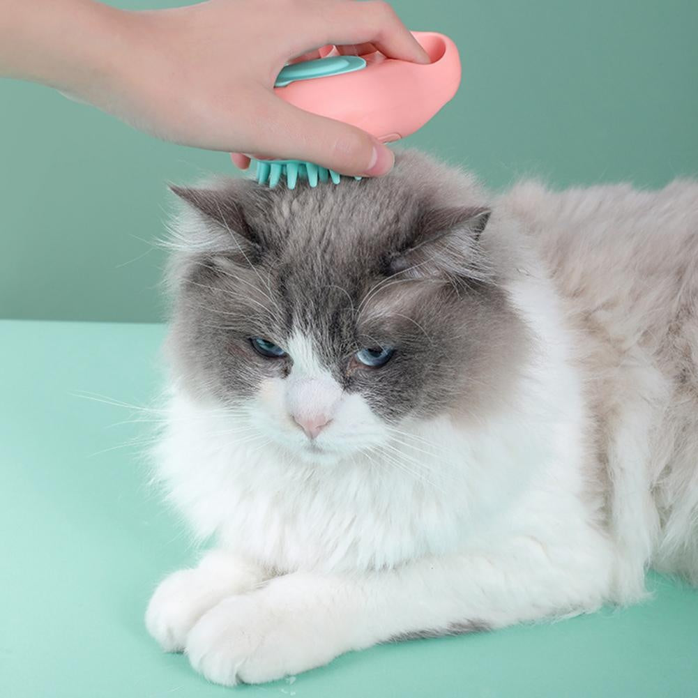 Bath brush