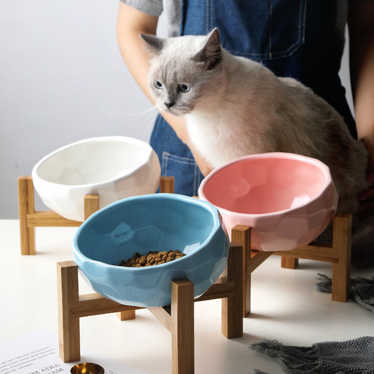 Oblique food bowl