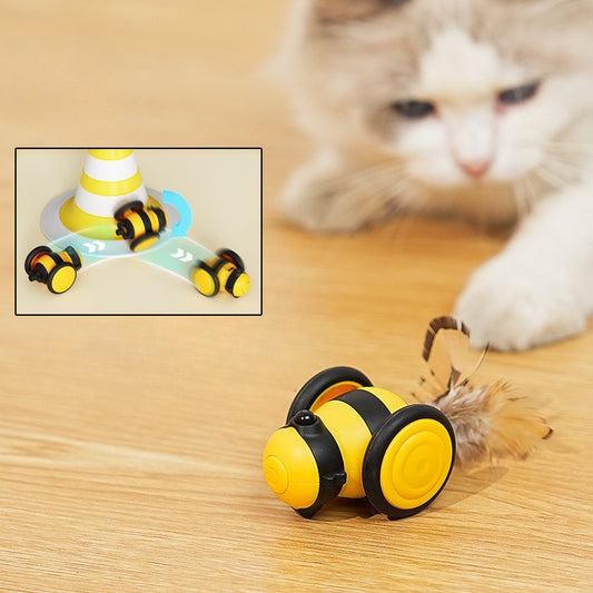 Cat car toy