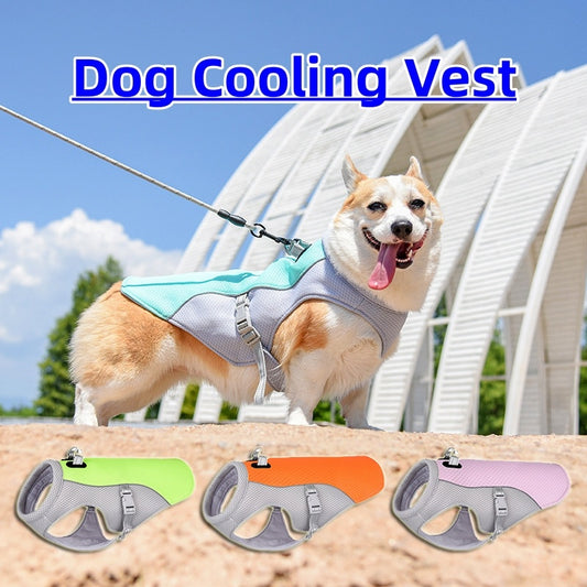 Cooling vest 2.0