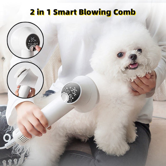 Smart hair dryer